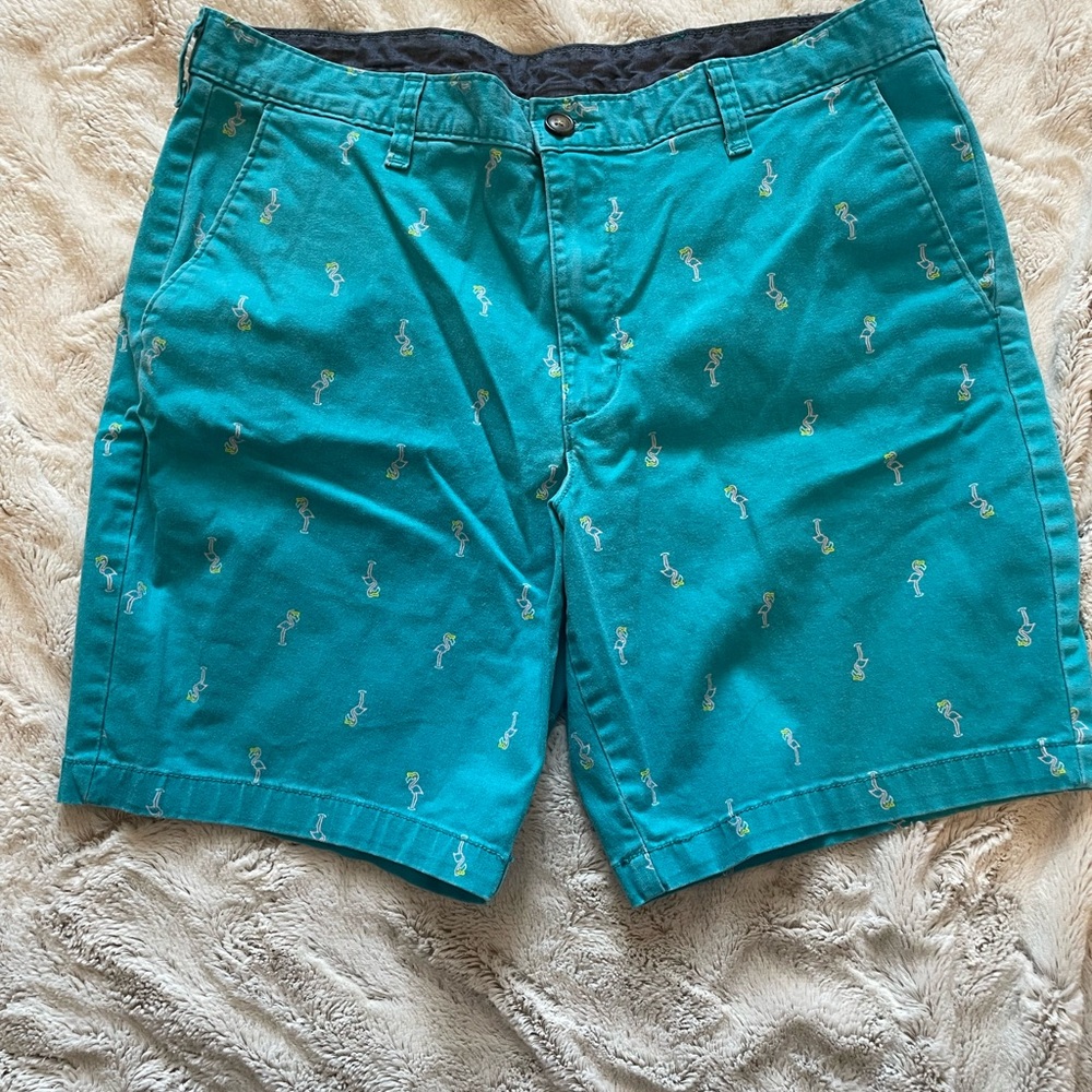 Men's Teal Patterned Shorts